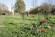 Img 013